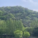 십리대밭 산책로 화장실 | 울산 1박 2일 코스🌙 태화강 십리대밭, 슬도등대, 대왕암 야경 가볍게 둘러본 후기!