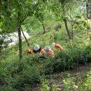 일봉농장 이미지