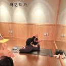 요가1.(오전반) 이미지