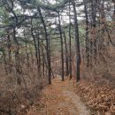 계양산 누리길 이미지