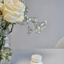 D-24 | 임산부 비타민d 5000 IU 복용 후기 8주 24주 비교