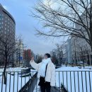 니조시장 오이소｜오타루 &lt;르타오 카페, 카마에이 어묵&gt;｜에비수 바 - 홋카이도 4박5일 여행기 ③