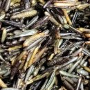 전호농장 이미지