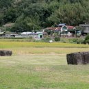 의령 수성리 지석묘군 이미지