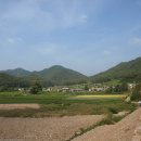 한실초등학교 이미지