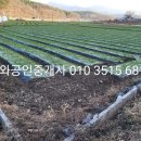 청도부동산공인중개사사무소 이미지