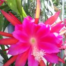 서덕한의원 이미지