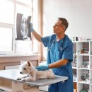 미래동물의료센터 이미지