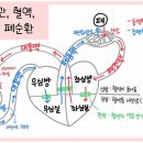 바디엔지니어스 이미지