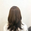 헤어마당 미용실 | 동대구역미용실 오키드헤어 대구 느좋 미용실 염색 후기