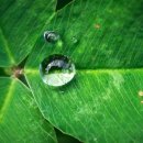 벽산1차아파트상가 이미지