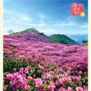 특별한 보통날N 네이버블로그