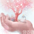 복숭아나무를 심고 / 윤영범 / 조선일보 이미지