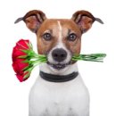 가가하우스 이미지