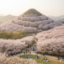 작동빨래터 분수대 | 부천 원미산진달래꽃, 도당산벚꽃축제 2026년 일정 주차 아이와 방문꿀팁 인근맛집TOP3 정리