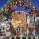 운동장가든 이미지