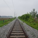 디엠지스테이 이미지