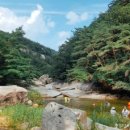 소금강가족낚시터 | 괴산 가볼만한곳 베스트10 추천
