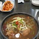 초애 티스토리