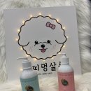 쁘띠멍살롱 이미지