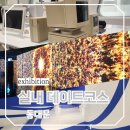 서울 실내 데이트코스 2~4월 동대문디자인플라자 무료 전시회 파헤쳐보기
