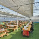 고려농장 | 논산 온누리딸기농장｜아이랑 딸기체험 2년 연속 방문 후기 (2026 딸기축제 할인 포함)