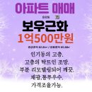 보우근화 이미지