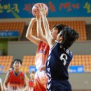 성남수정초등학교 이미지