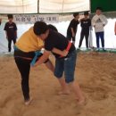 궁항초등학교 이미지
