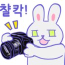 가은오토바이