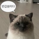 인계로 270번길 2 | [수원/매탄]퇴근 후 야장 감성 전 전문점 '전날밤' 파닭전 막걸리 내돈내산 솔직후기🥘