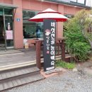 벚꽃나들버섯집 이미지