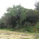 영창파크타운아파트 이미지