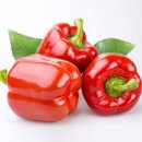 청담피트니스 이미지