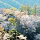 오색관광지 이미지