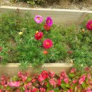 대구역광장 이미지