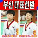 조정희 태권도 이미지