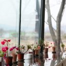 미스타페오 이미지