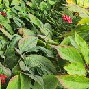 운장산 넘는길 이미지