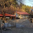 장산태권도 이미지