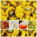 한방꽃차 소믈리에 교육과정 이미지