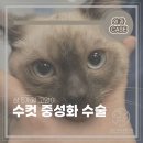 한주동물병원 이미지