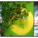 올리브당구클럽 이미지