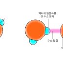 물은 왜 생명의 근원이 되었을까? 이미지