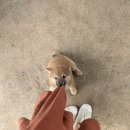 한샘농장 이미지