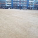 서울선곡초등학교 이미지