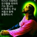 (주)송축