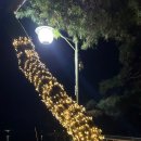 낙동놀자 이미지