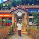 포숑포숑 | 내돈내산 창원 용호동 가로수길 맛집 포숑 쌀국수 후기