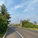 애월로와 이미지